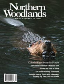 Photo by Mary Holland AUT09_200px.jpg cover 