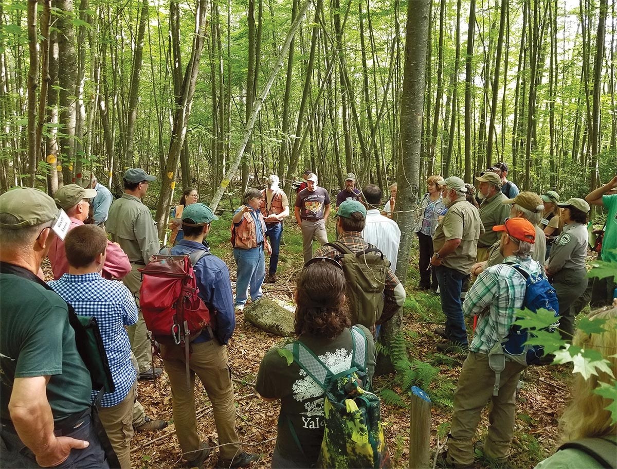 Northeast Silviculture Institute Review