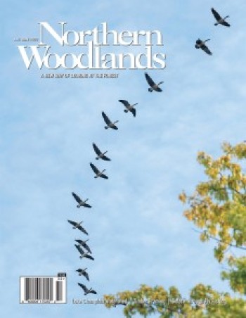 Photo by Caleb Kenna Autumn 2022 issue cover cover  by Northern Woodlands