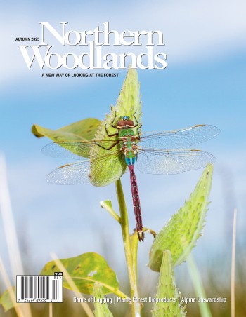 Photo by Sparky Stensaas Autumn 2025 Cover