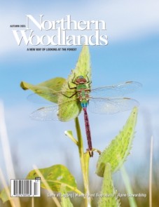 Photo by Sparky Stensaas aut25-cover.jpg cover 