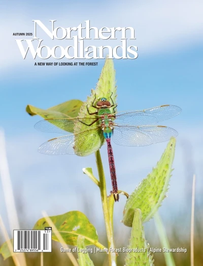 aut25-cover.jpg