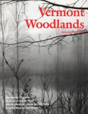 Photo by John Sheldon Aut95w.jpg cover