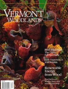 Photo by Carl E. Heilman II Aut98w.jpg cover 