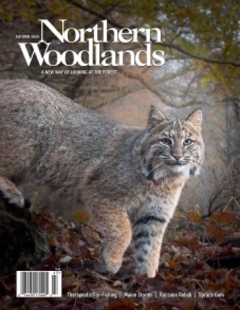 Photo by Tig Tillinghast Autumn magazine cover  by Northern Woodlands