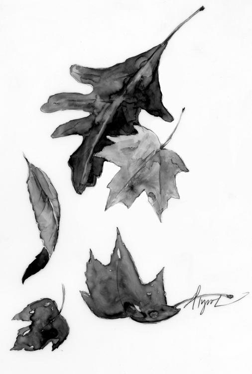 Northern Woodlands Foliage 2012 Recap thumbnail