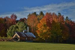 October 2015 Photo: Paul F. Noel