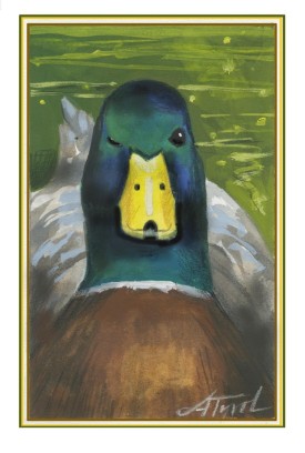 Duck sleep thumbnail