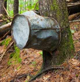 back_In_Time_thumb.jpg thumbnail