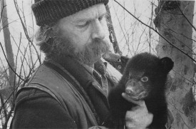 bear.jpg thumbnail