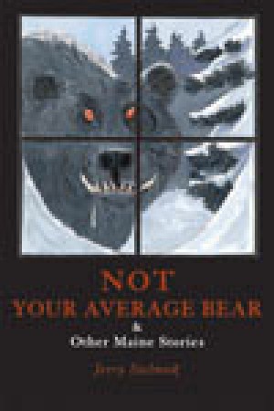 Not Your Average Bear & Other Maine Stories thumbnail