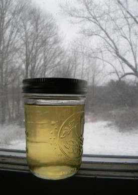 bear_fat.jpg thumbnail