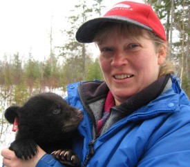 bear_web.jpg thumbnail