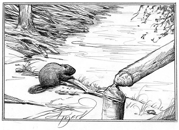 Arms Race in the Woods: How Beavers Recycle Tree Defenses thumbnail