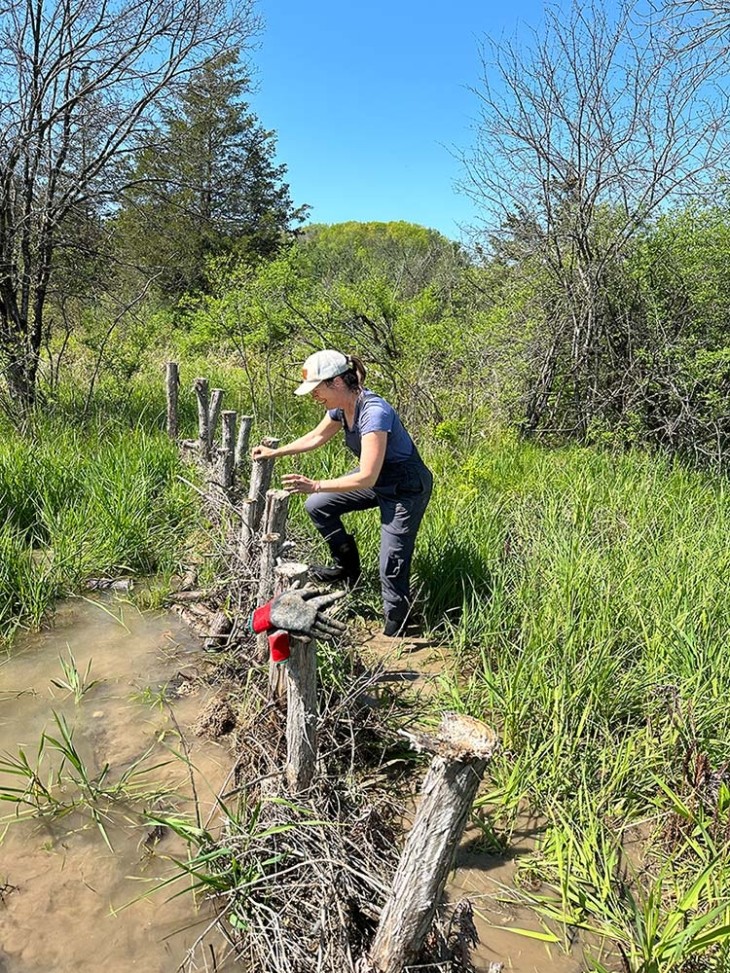 Building Beaver Dam Analogs to Restore Watersheds