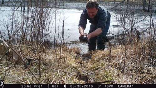 beaver_game_camera_2.jpg