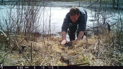 beaver_game_camera_3.jpg