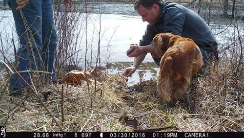 beaver_game_camera_4.jpg