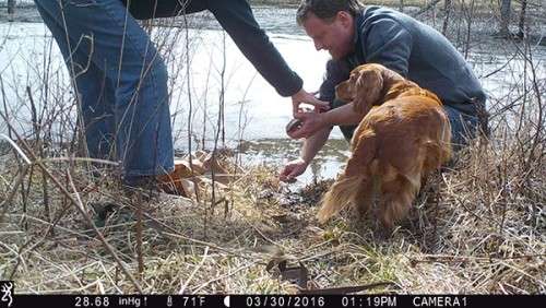 beaver_game_camera_5.jpg