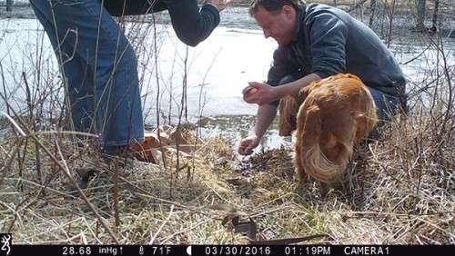 beaver_game_camera_6.jpg