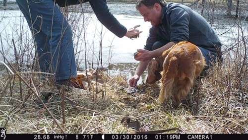 beaver_game_camera_7.jpg