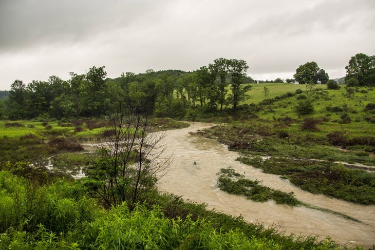 The Beaver Family of Doolittle Creek