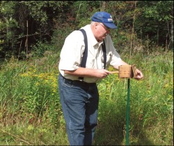 Bee Lining: The Oldtimers' Way to Find Wild Beehives Photo: Mark Benz