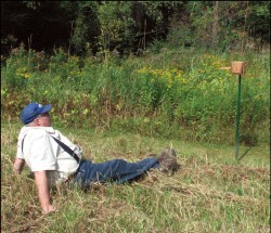 Bee Lining: The Oldtimers' Way to Find Wild Beehives Photo: Mark Benz