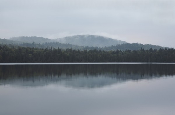 Big Reed Forest Reserve: A Place Out of Time