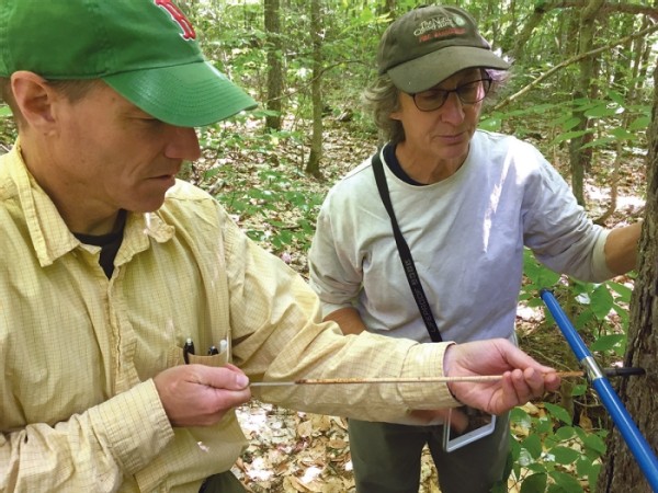 Big Reed Forest Reserve: A Place Out of Time