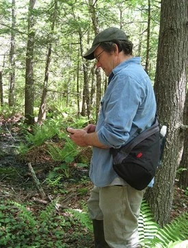 big_tree_head.jpg thumbnail