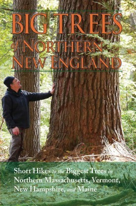 Big Trees of Northern New England with Kevin Martin thumbnail