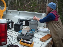 Of Trout and Trees Photo: Nat Tripp