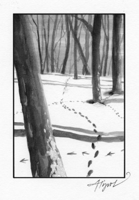 Biomass_Harvest.jpg thumbnail