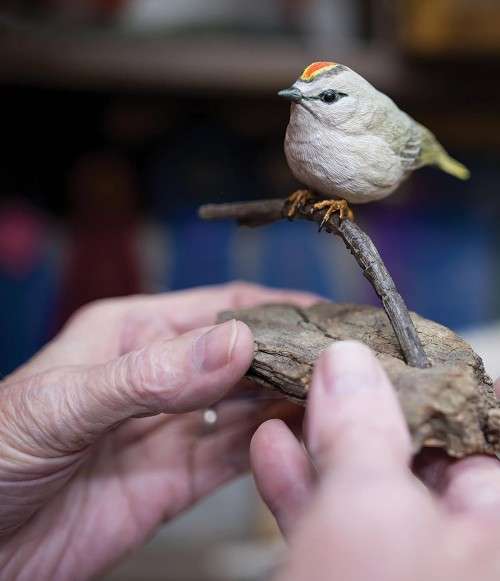 Bird decoy carving