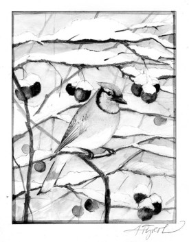 birdsinsnow.jpg thumbnail