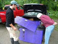 Want to see an EAB trap up close? Photo: NW