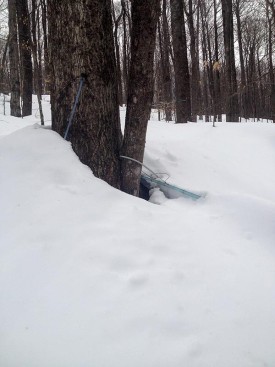 blog_pic_4.jpg thumbnail