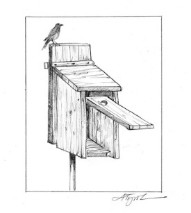 bluebirdboxpix.jpg thumbnail