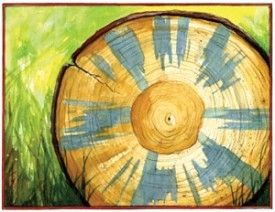 BLUESTAIN_FUNGUS_300.jpg thumbnail