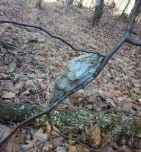 Mystery Photo thumbnail