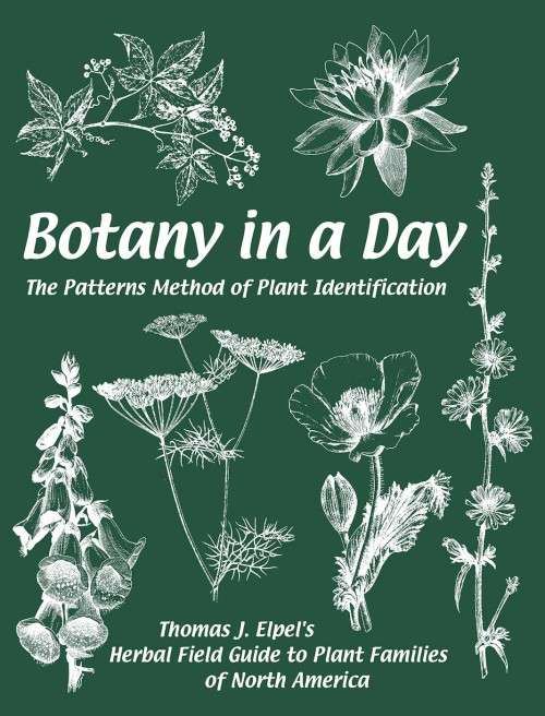 Botany by day