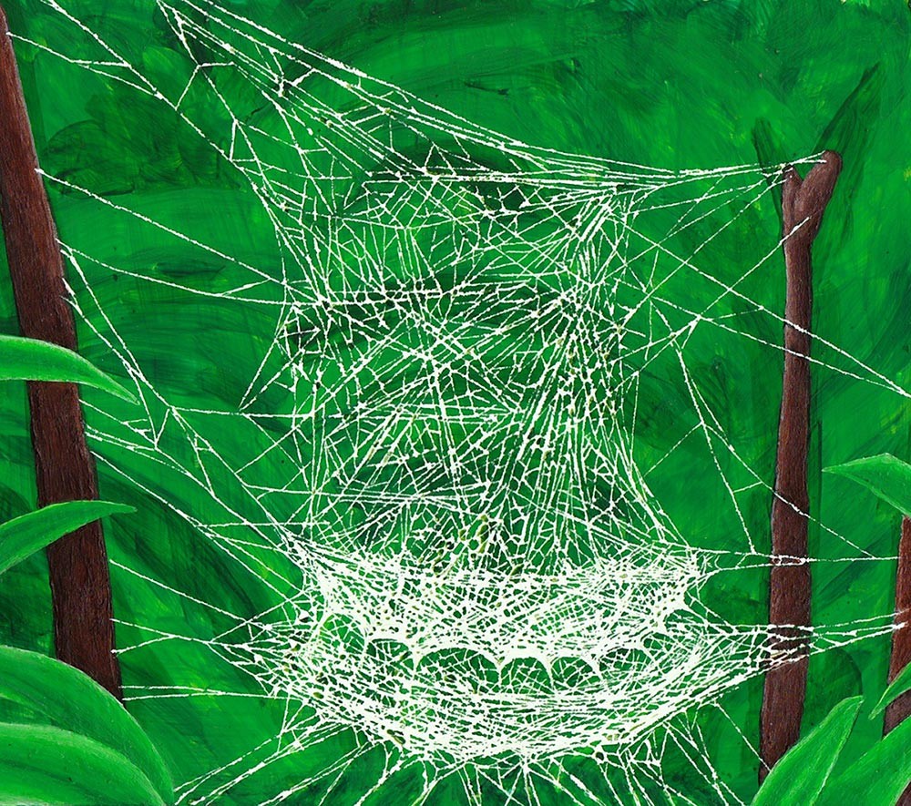 Beyond the Orb: A Summer Spiderweb Sampler