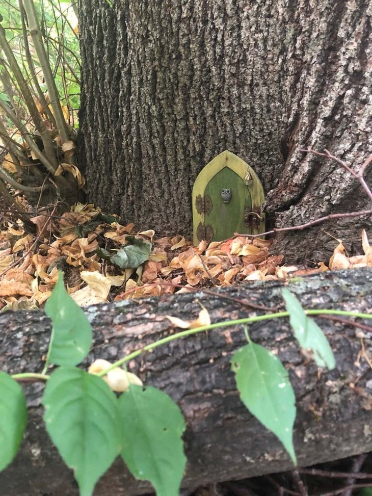 Fairy house