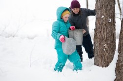Family sugarmaking Photo: Ben DeFlorio