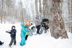 Friends in sugarwoods Photo: Ben DeFlorio