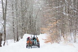 Sugar season thumbnail