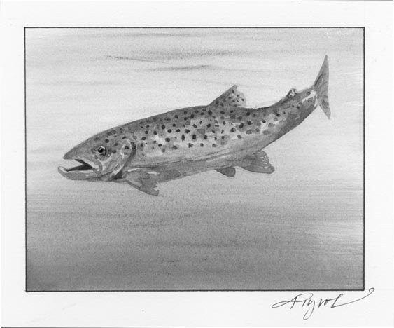 Stalking the Wild Brown Trout thumbnail