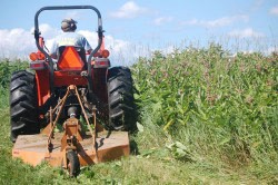 Fields Among the Forests: Keeping Open Land Open