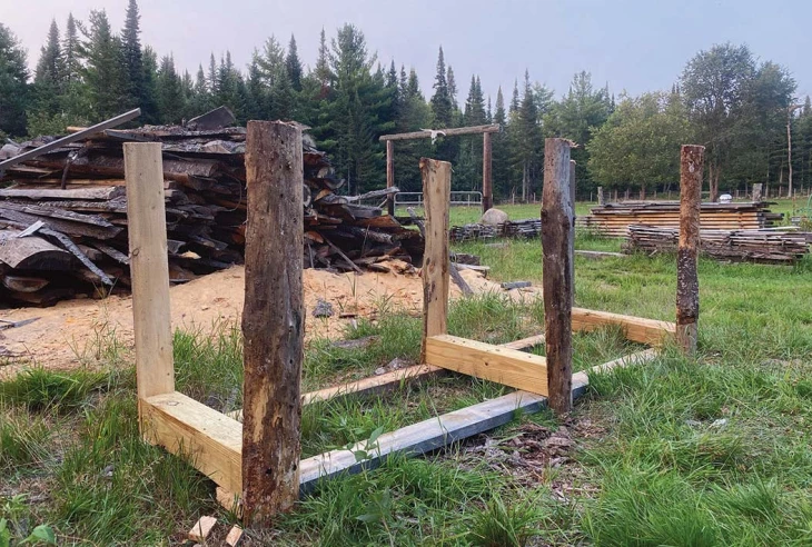 Building stanchion
